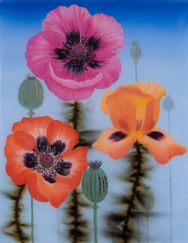 Three Poppies